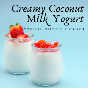 creamy coconut milk yogurt